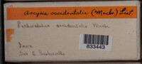 Image Associated With the Occurence